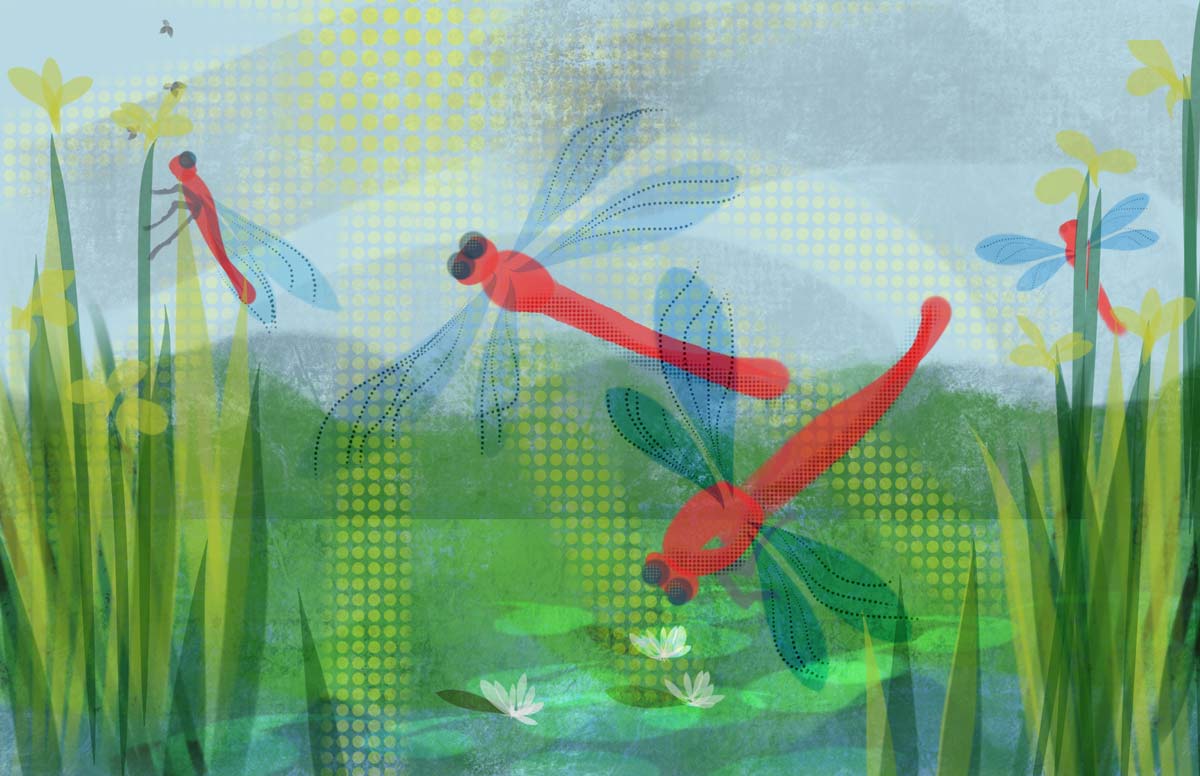 Colorful artwork of red Dragonflies over a Lake and Mountains