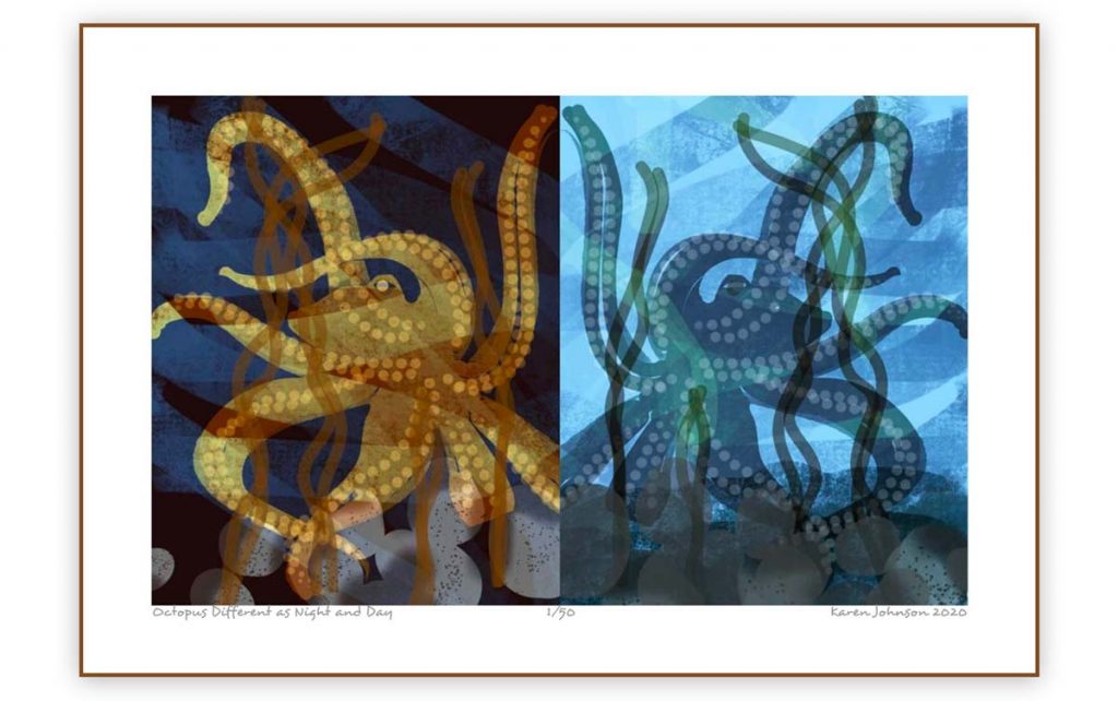 Framed artwork of octopus changing colors