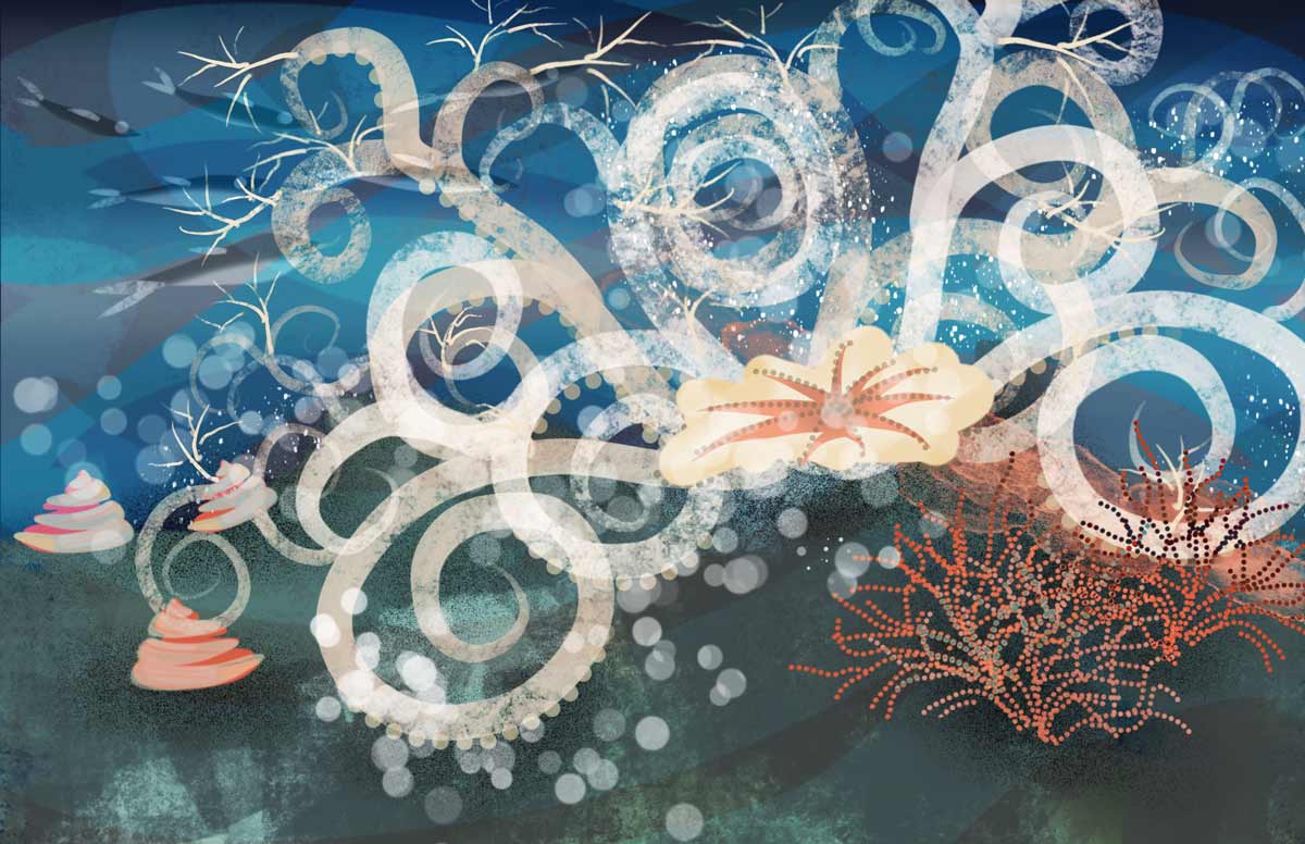 Colorful artwork of a basket starfish