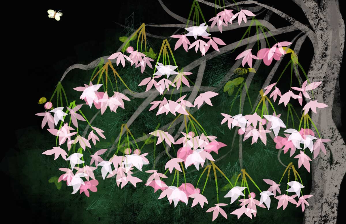 Colorful artwork of Shogetsu cherry tree in bloom
