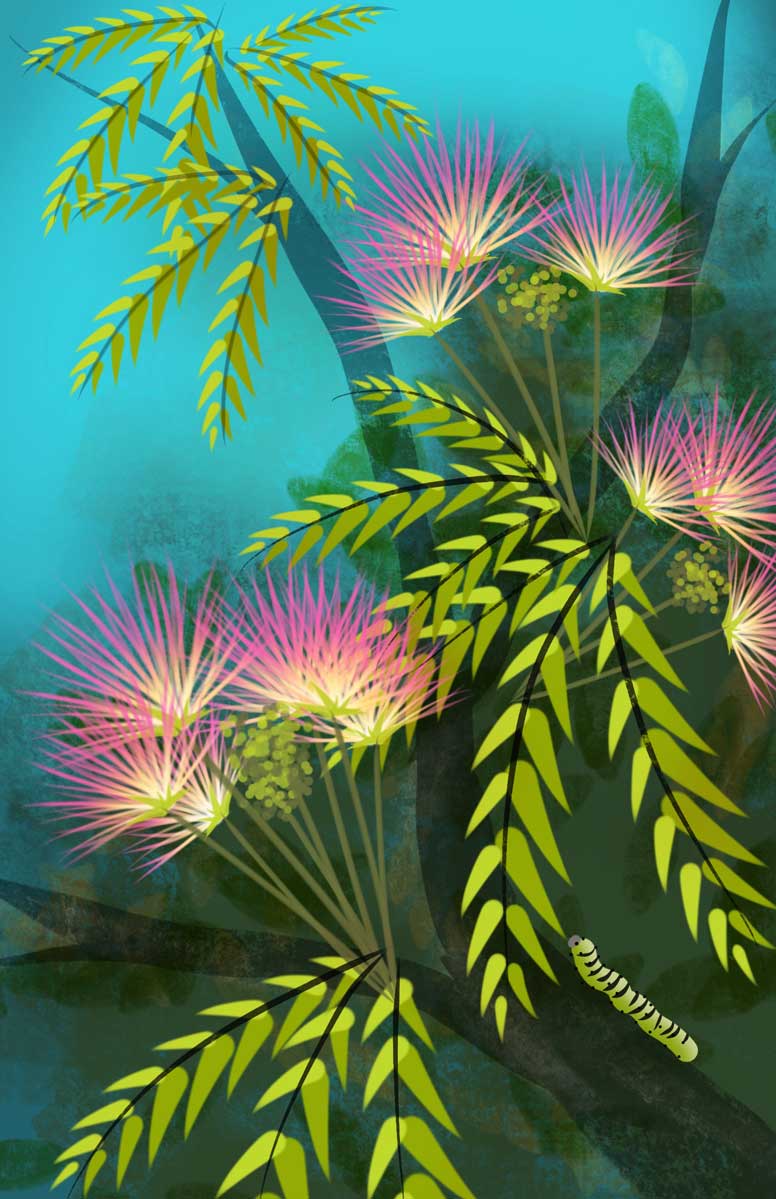 Colorful artwork of a persian silk tree or mimosa tree and caterpillar