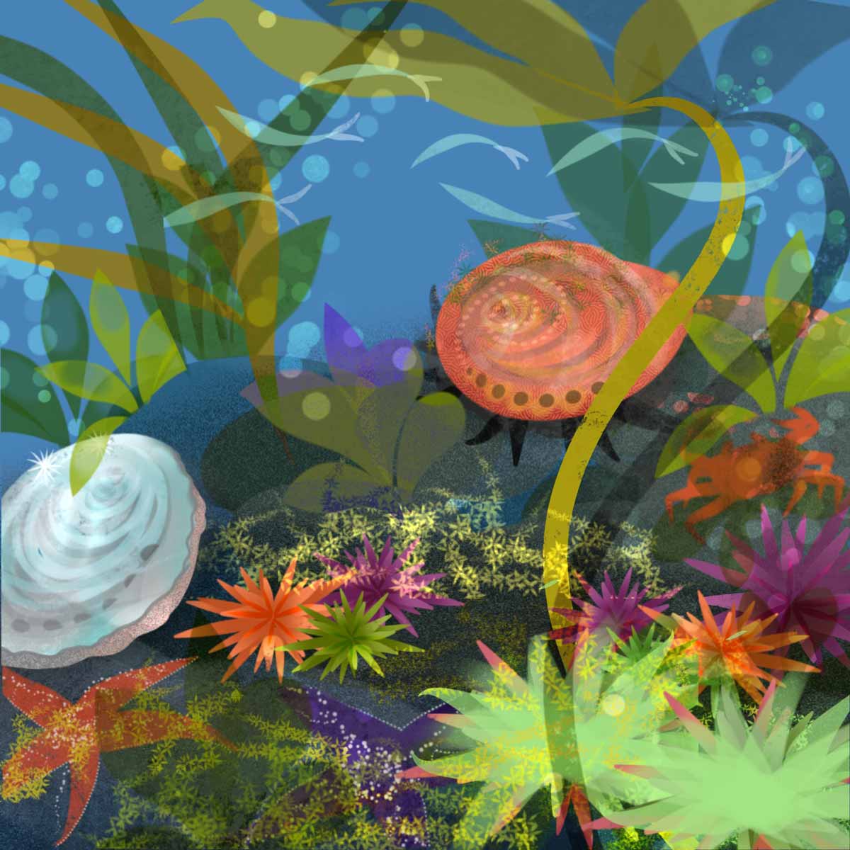 Colorful artwork of underwater scene with abalones