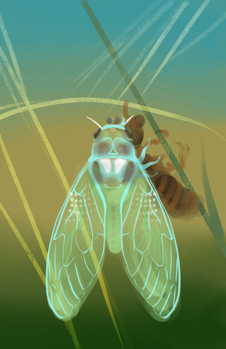 Colorful artwork of Cicada Nymph