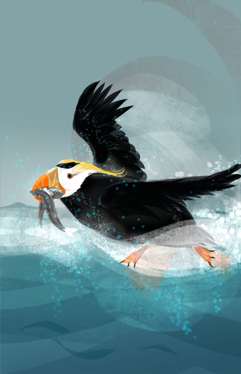 Coloful artwork of a Puffin with a Mouthful of Fish