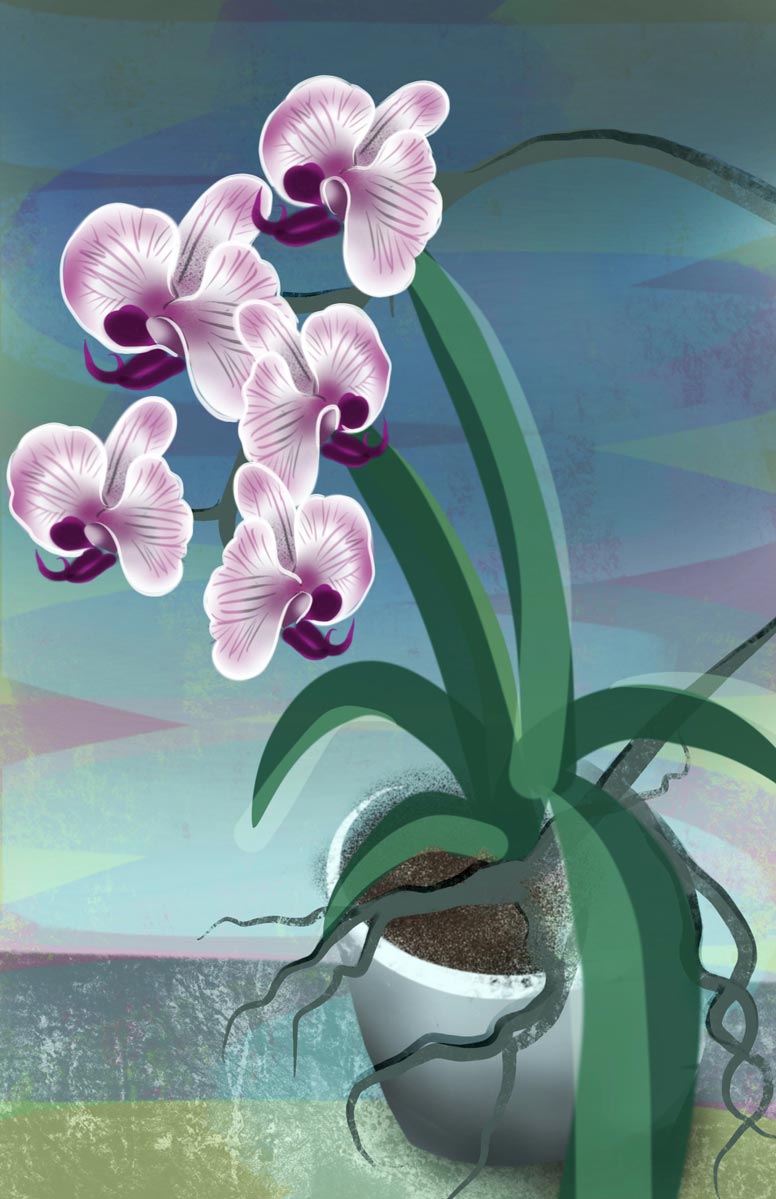 Colorful artwork of Orchid