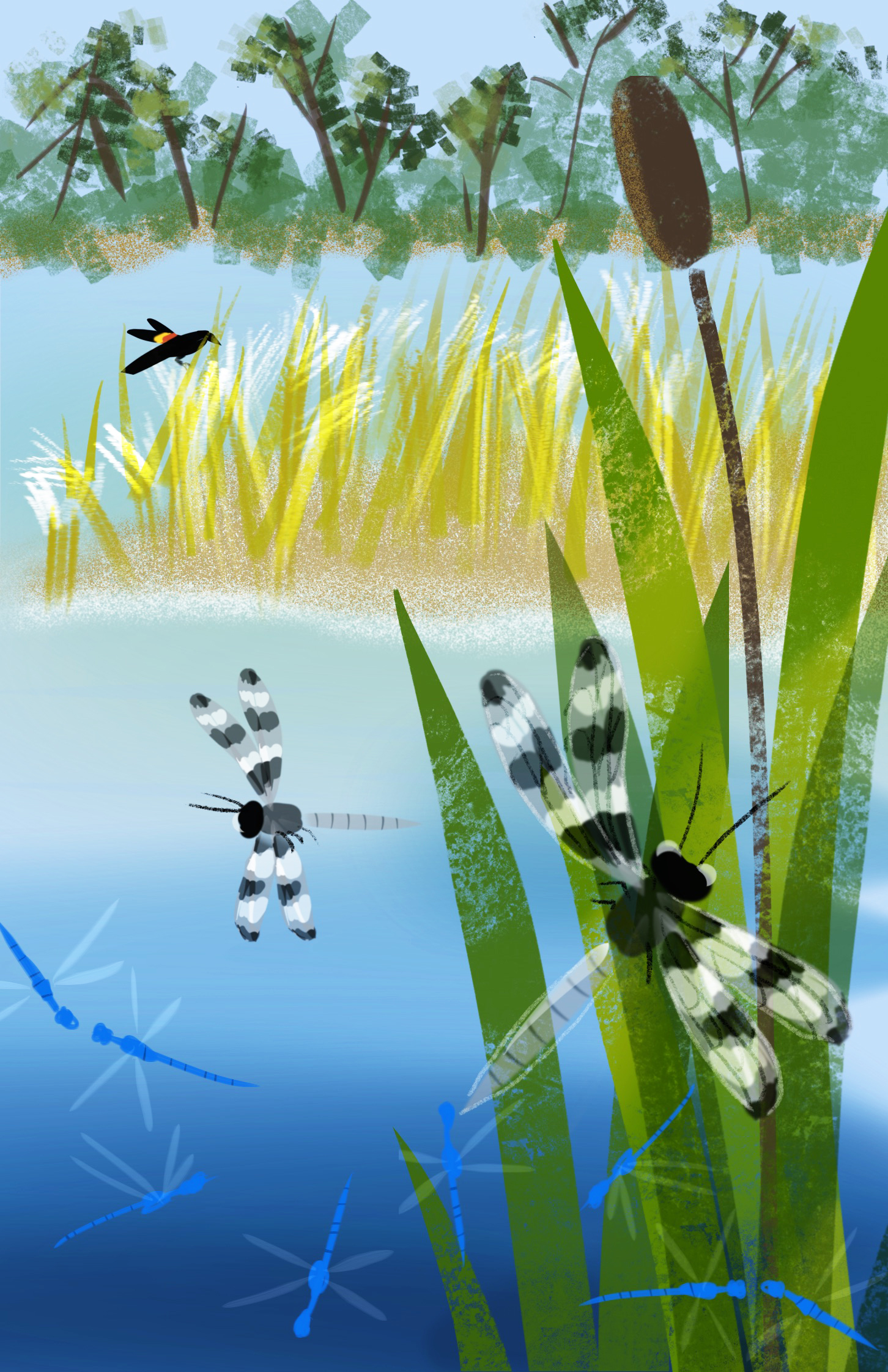 Colorful artwork of Reed LAake Dragonflies
