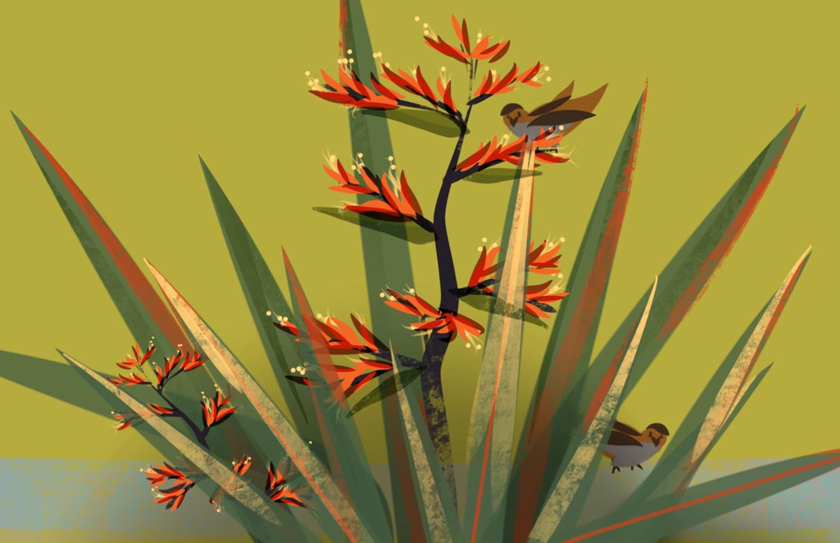 Colorful artwork of Flax and birds